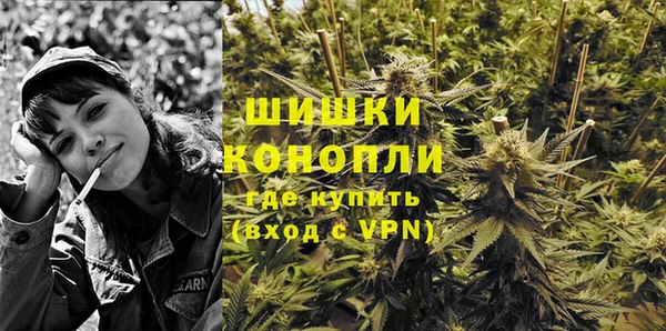 крисы Нягань