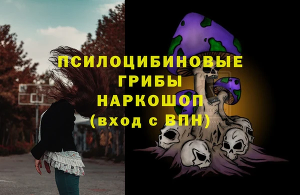 Альфа ПВП Осташков