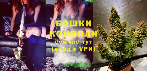 кокс Няндома