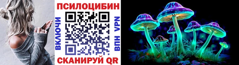 Галлюциногенные грибы Psilocybe  Касли 